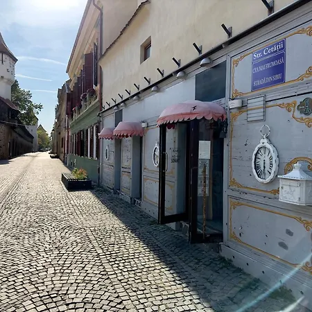 Apartment Schiller - Old Town *
